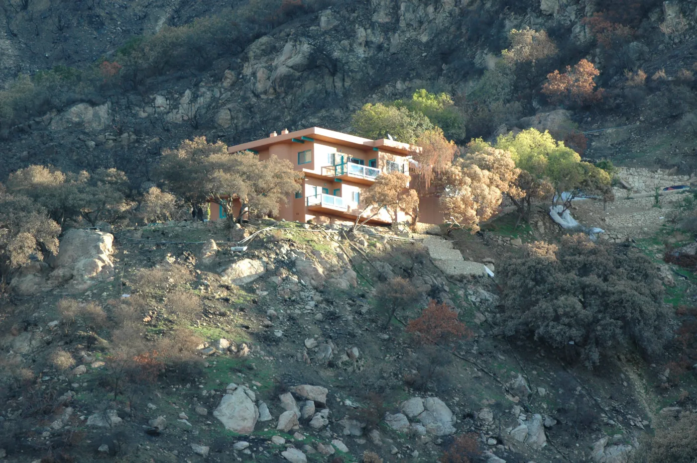 Tea Fire, Mountain Drive, unburned home, fire scape. Note singed and unsinged oaks, chaparral stumps on lower slope.