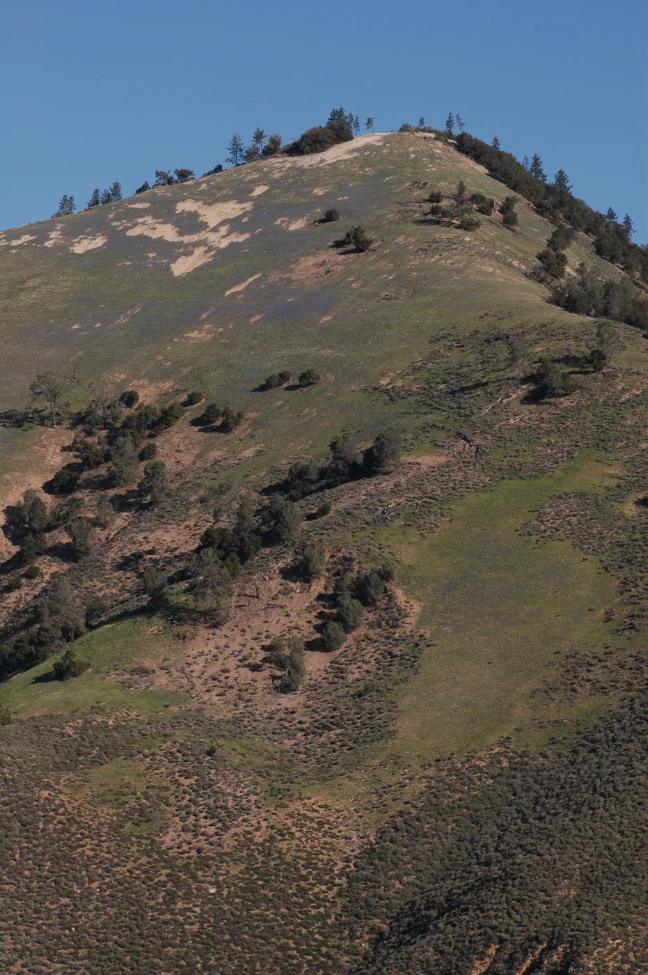 Grass Mountain