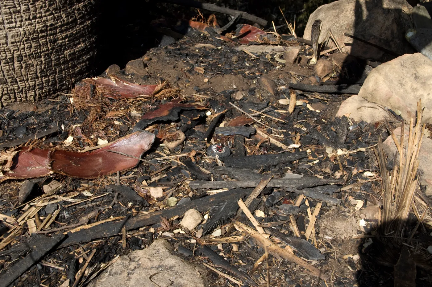melted sprinkler head in Desert Section, after the Jesusita Fire, burned irrigation