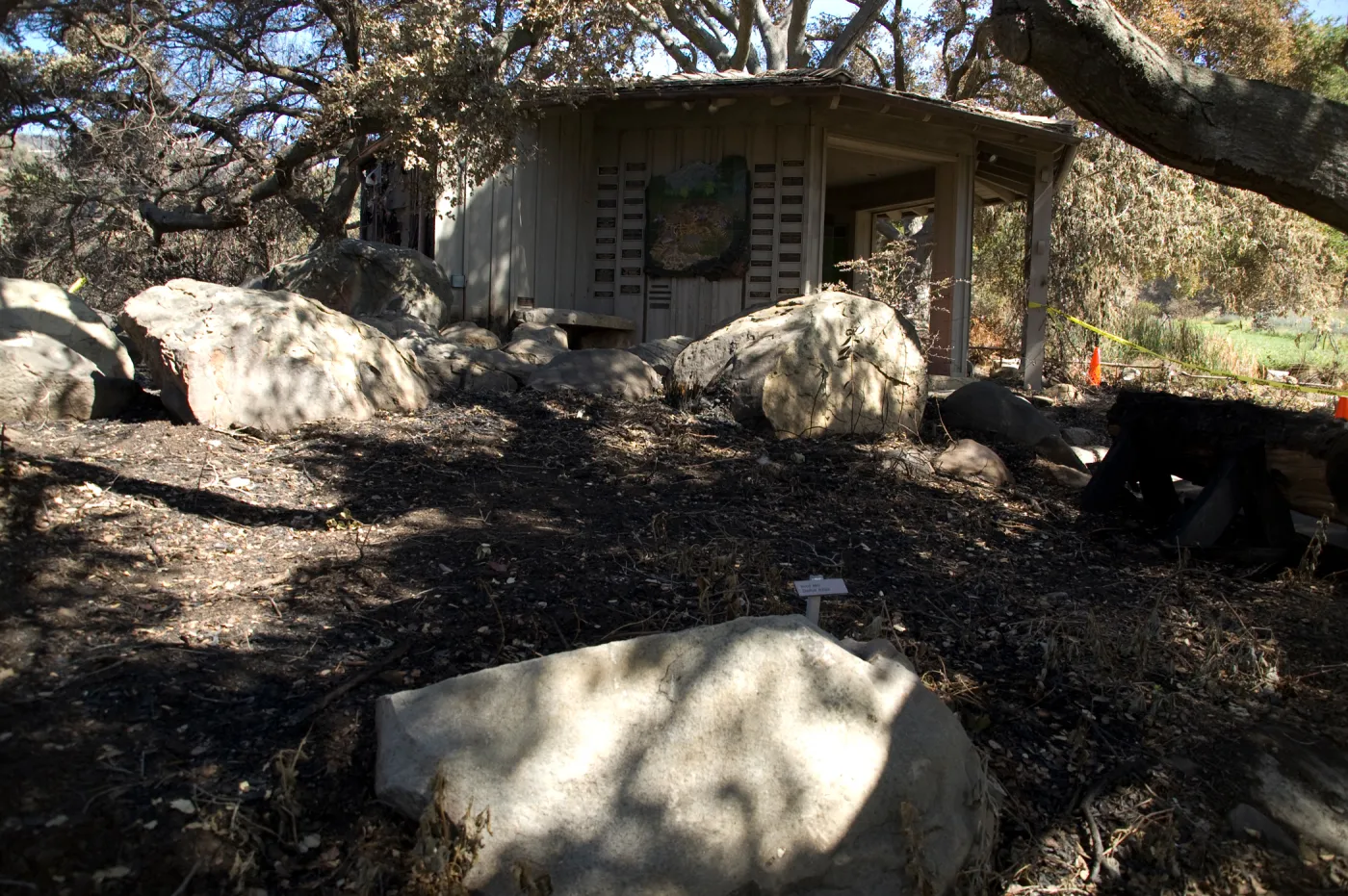 Santa Barbara Botanic Garden after the Jesusita Fire