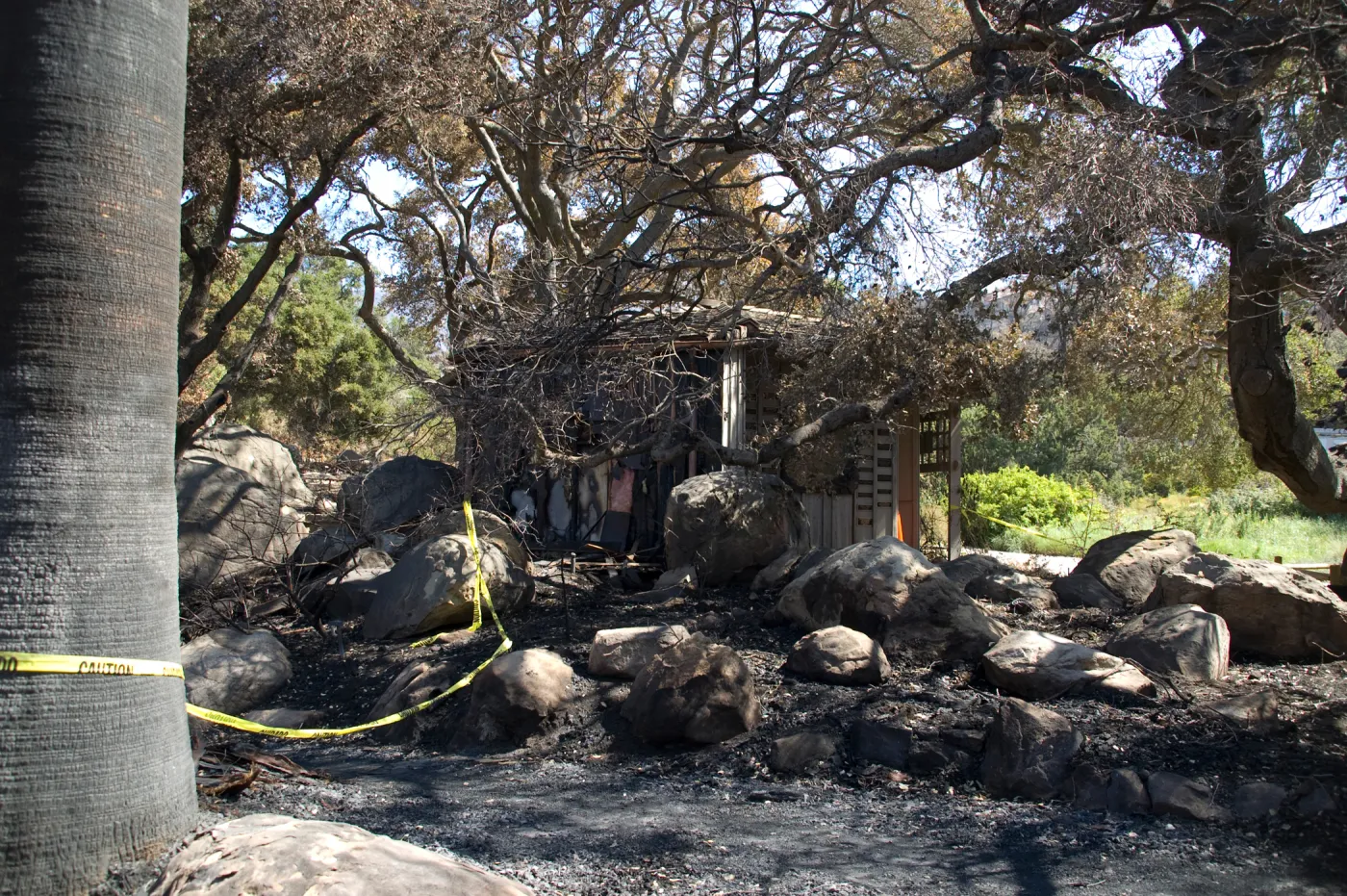 Santa Barbara Botanic Garden after the Jesusita Fire