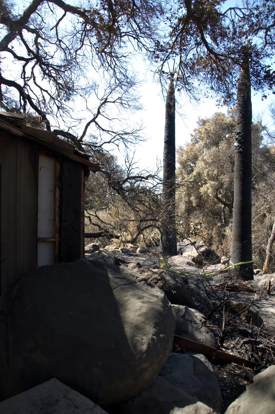 Santa Barbara Botanic Garden after the Jesusita Fire, burned Kiosk