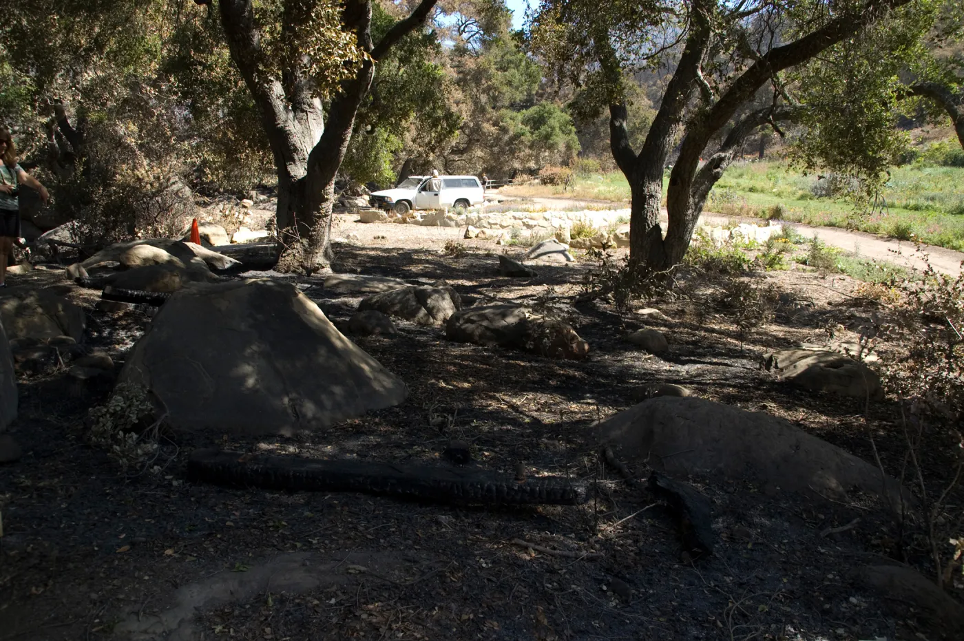 Santa Barbara Botanic Garden after the Jesusita Fire