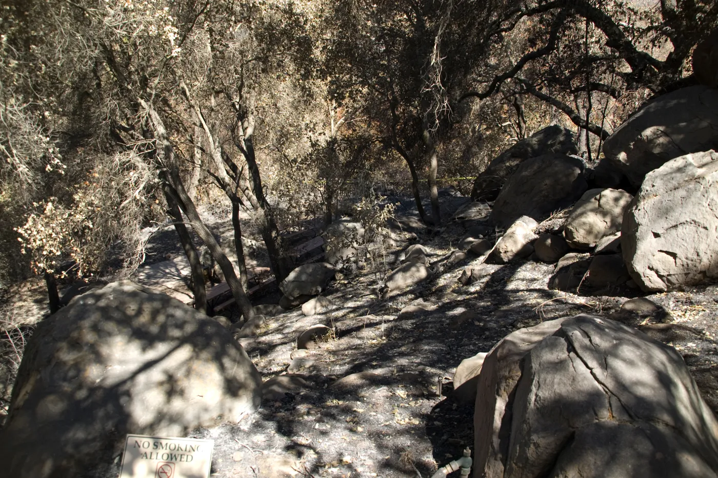 Santa Barbara Botanic Garden after the Jesusita Fire