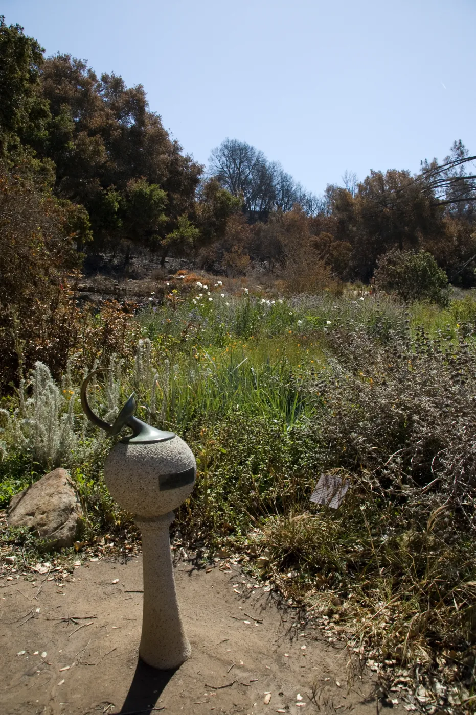 Santa Barbara Botanic Garden after the Jesusita Fire, sundial, burned Meadow View