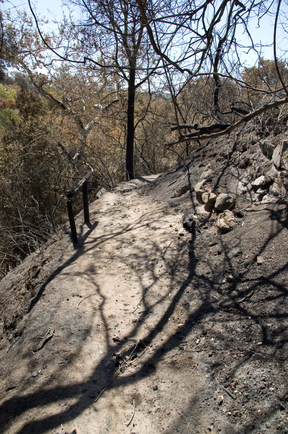 site of burned wood bench on Pritchett Trail after the Jesusita Fire