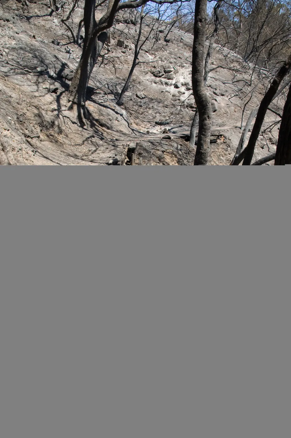 burned railroad tie retaining wall on Pritchett Trail after the Jesusita Fire
