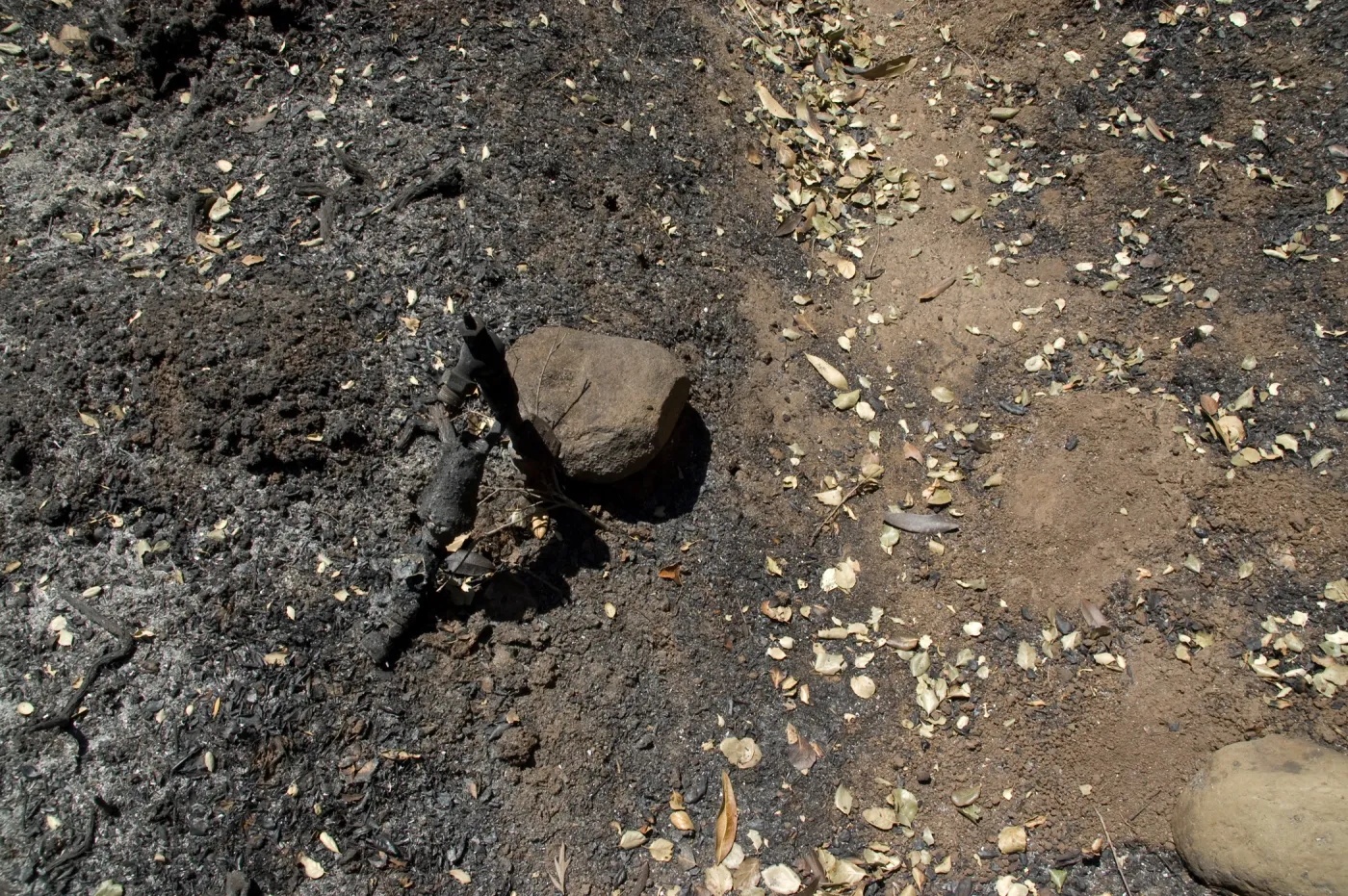 melted irrigation line in the Island Section, after the Jesusita Fire