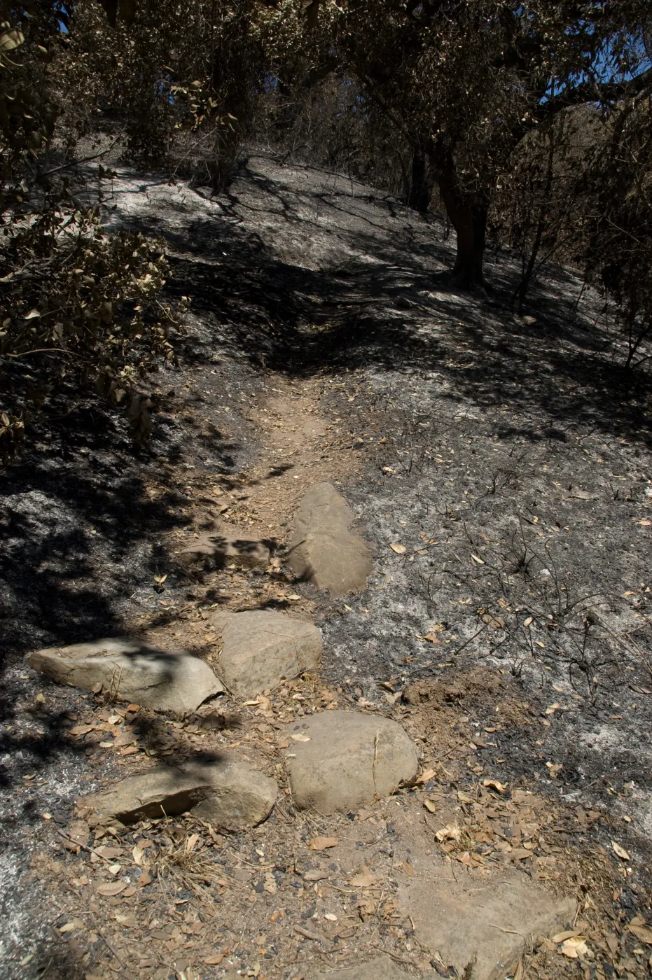 Island Section after the Jesusita Fire