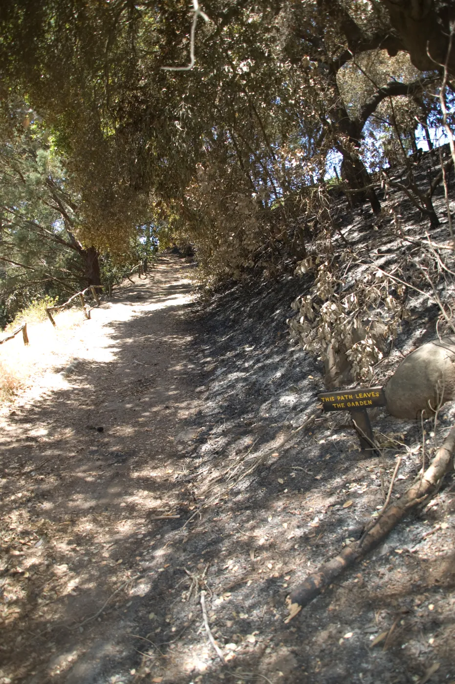 path exiting the Garden from the Island Section after the Jesusita Fire