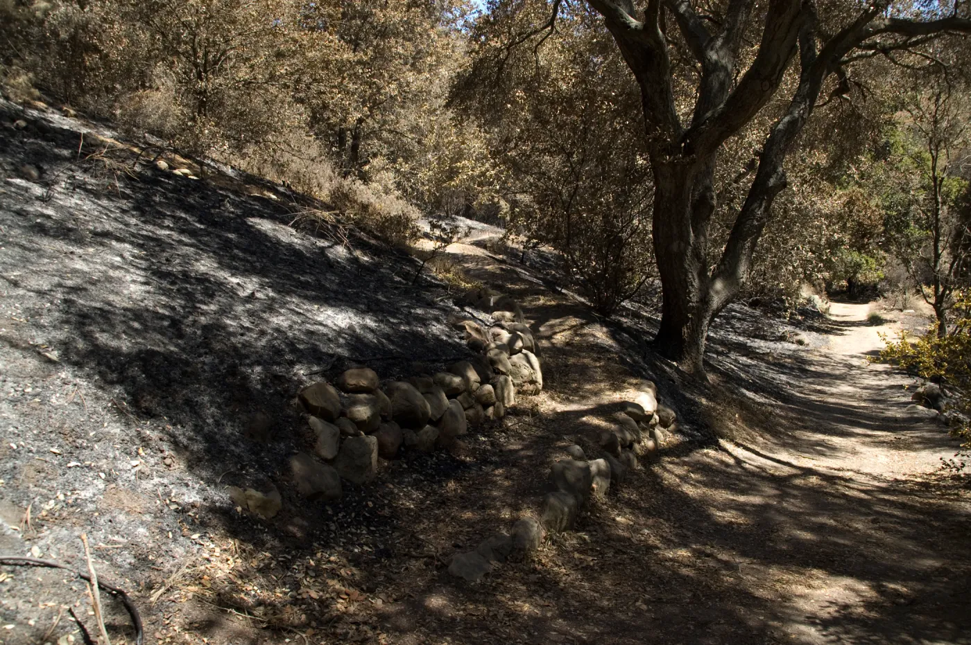trail from Island Section after the Jesusita Fire