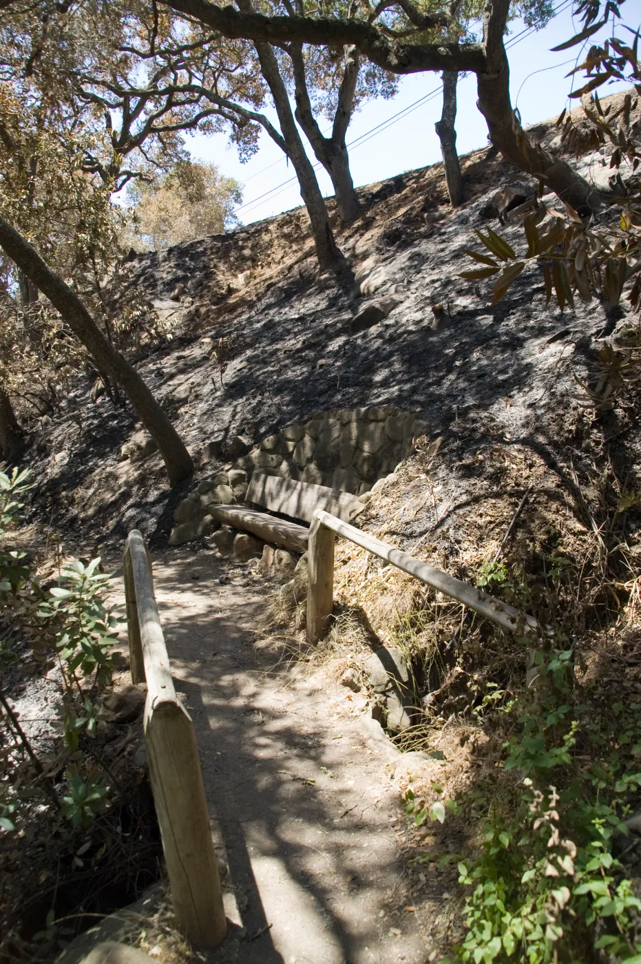 unburned wood bench and railings, in burned area just below Tunnel Road, after the Jesusita Fire