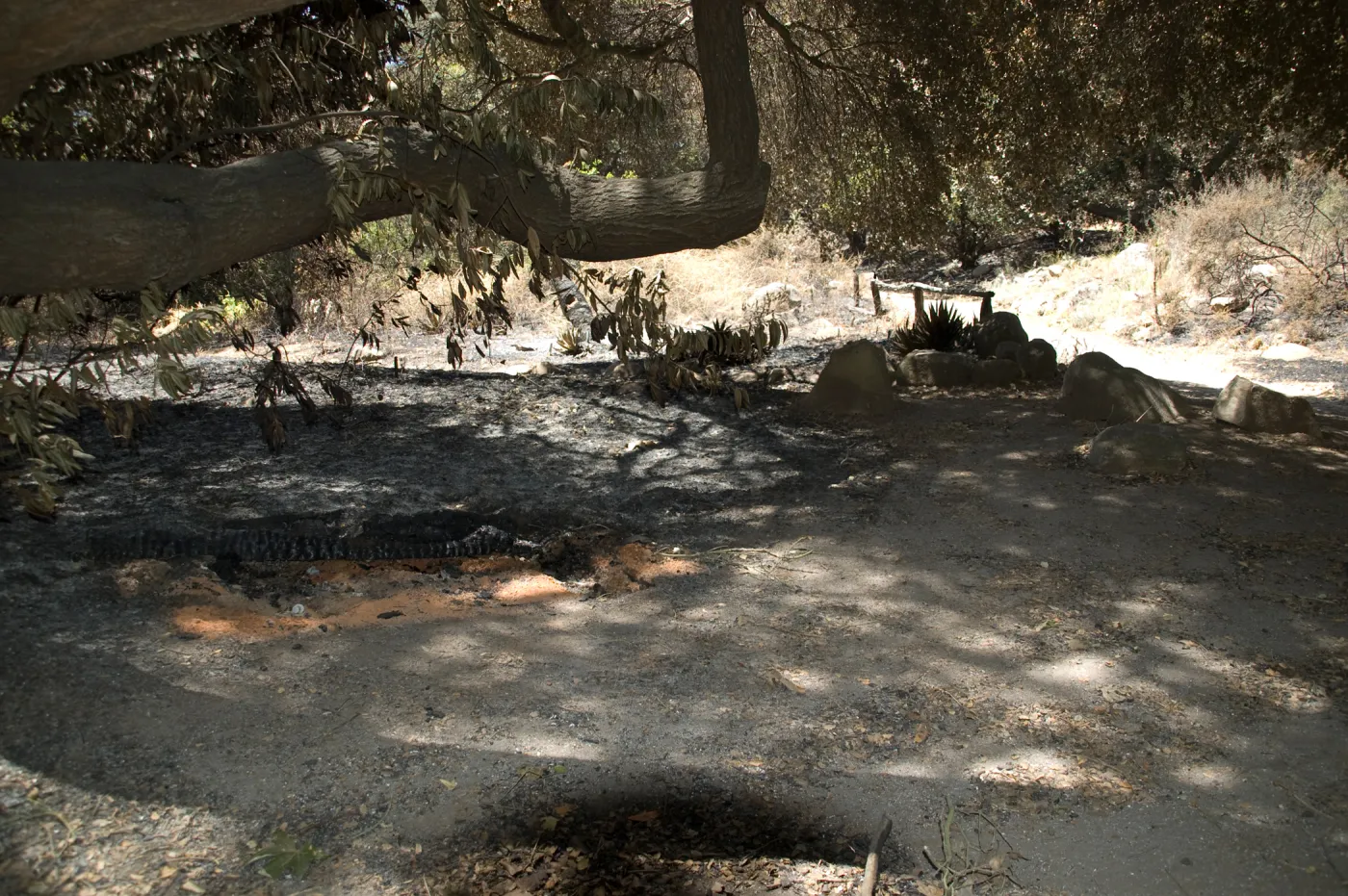 burned wood bench in Mission Canyon after the Jesusita Fire