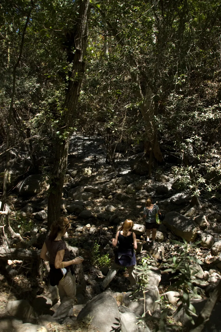 Mission Creek crossing from Canyon Trail to Creek Trail after the Jesusita Fire