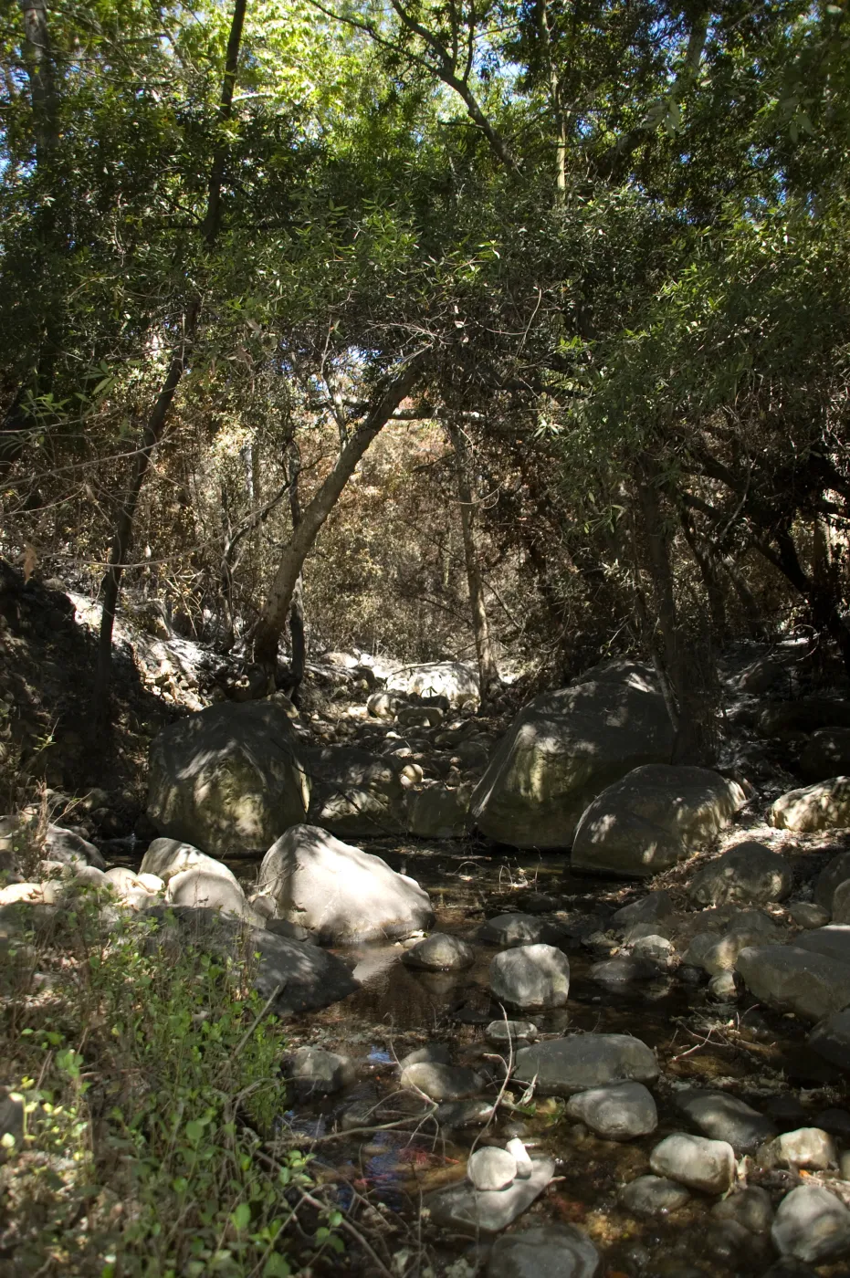 Mission Creek after the Jesusita Fire