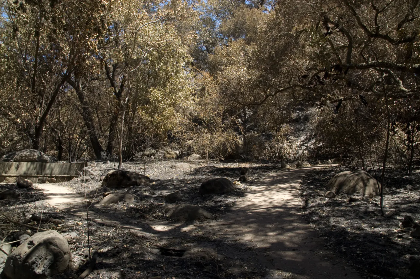 Campbell Bench, stone bench on Campbell Trail after the Jesusita Fire
