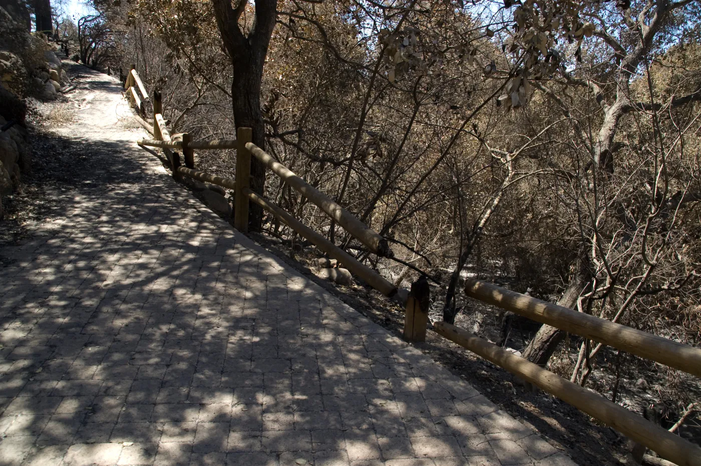 burned railing along Campbell Trail after the Jesusita Fire