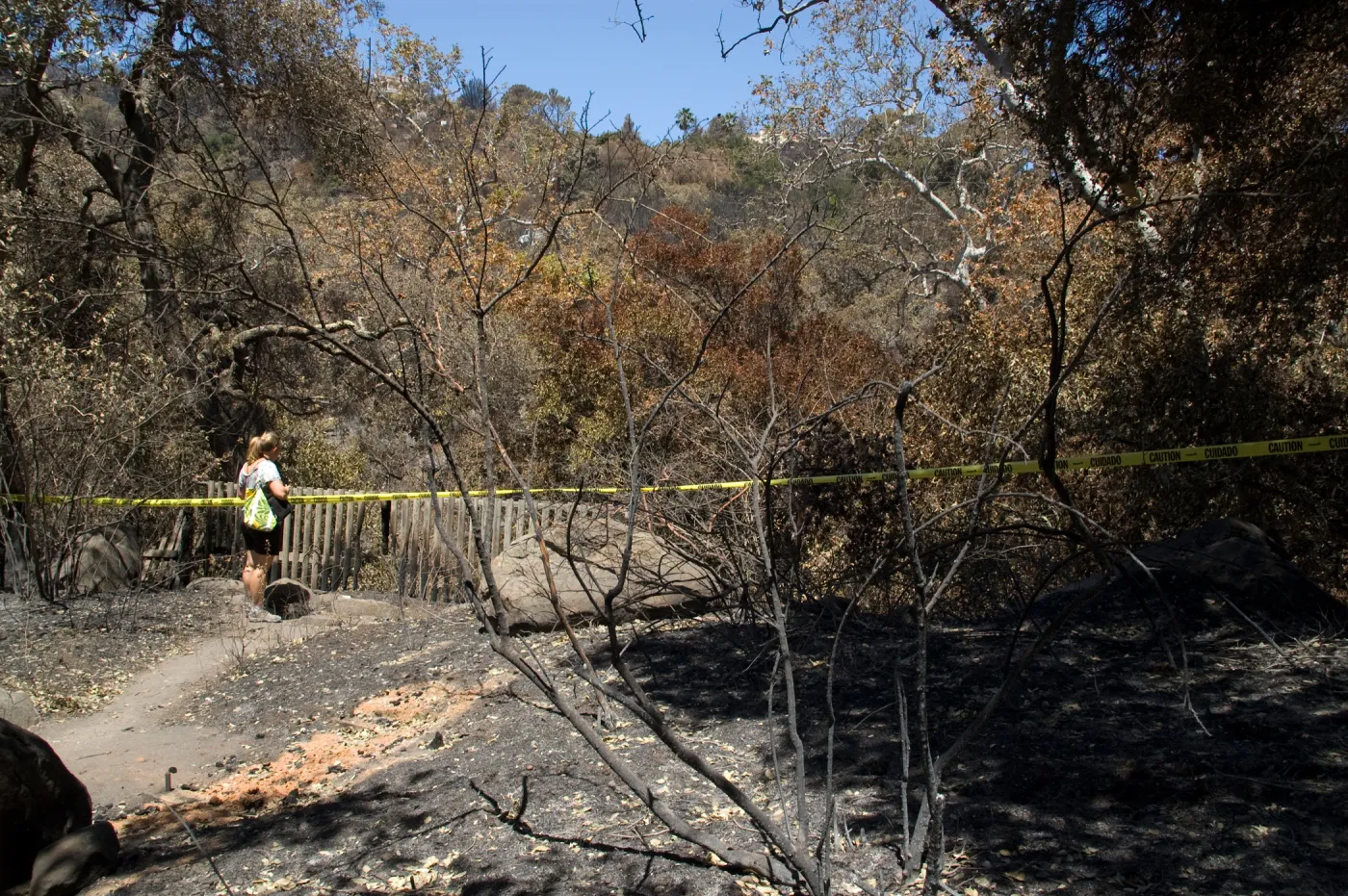 Canyon lookout at Picnic Area after the Jesusita Fire