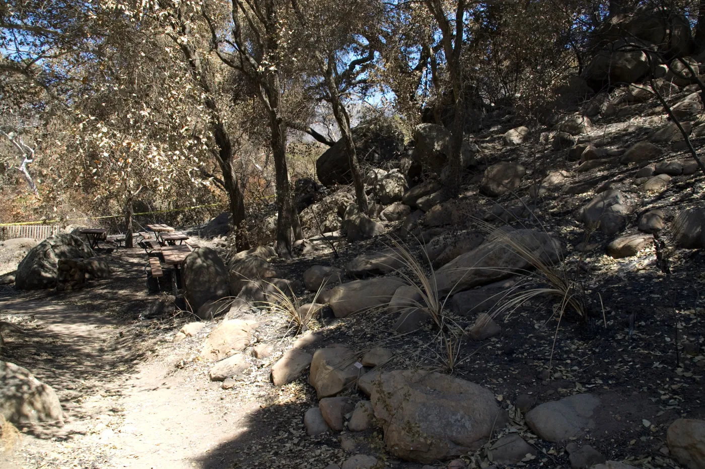 Picnic Area after the Jesusita Fire