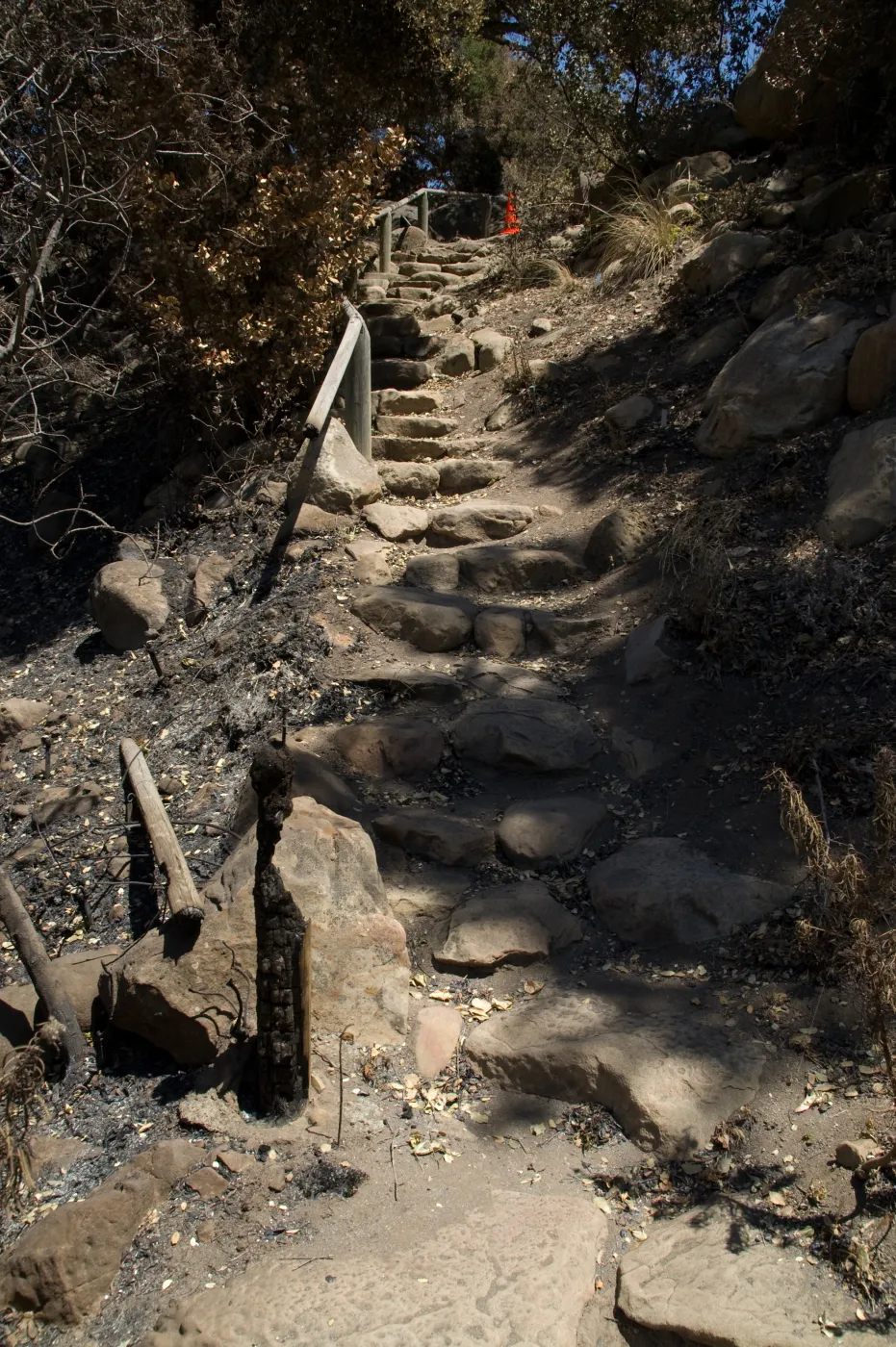 Campbell Trail staircase after the Jesusita Fire