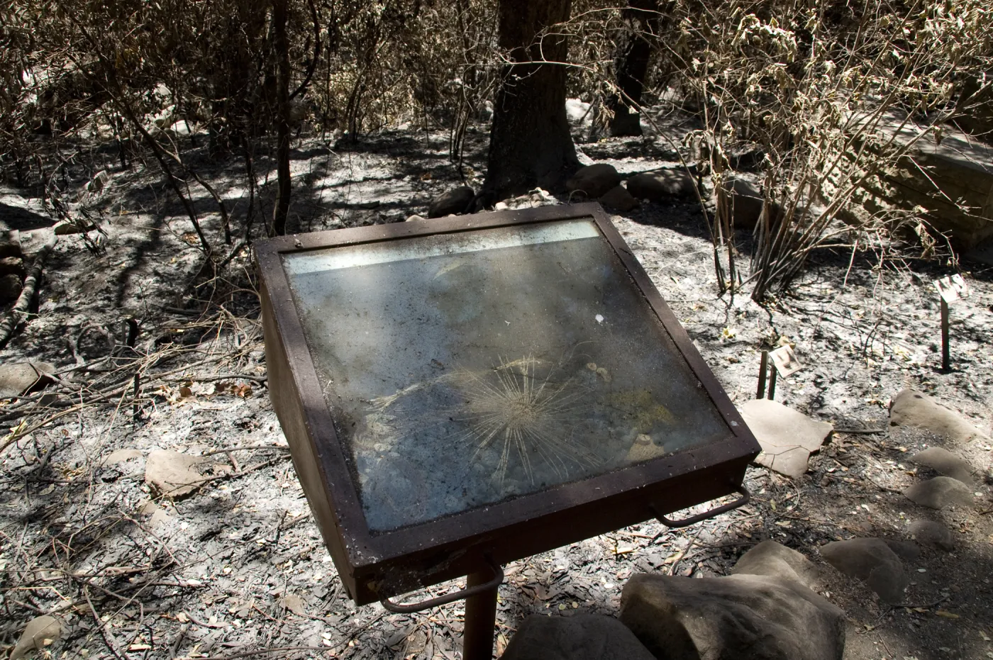 burned Fiber Arts Display case after the Jesusita Fire