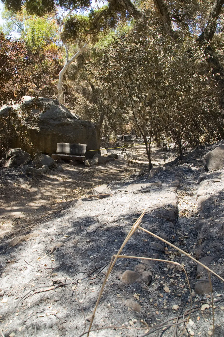 stone aqueduct and unburned wood bench along Canyon Trail, after the Jesusita Fire