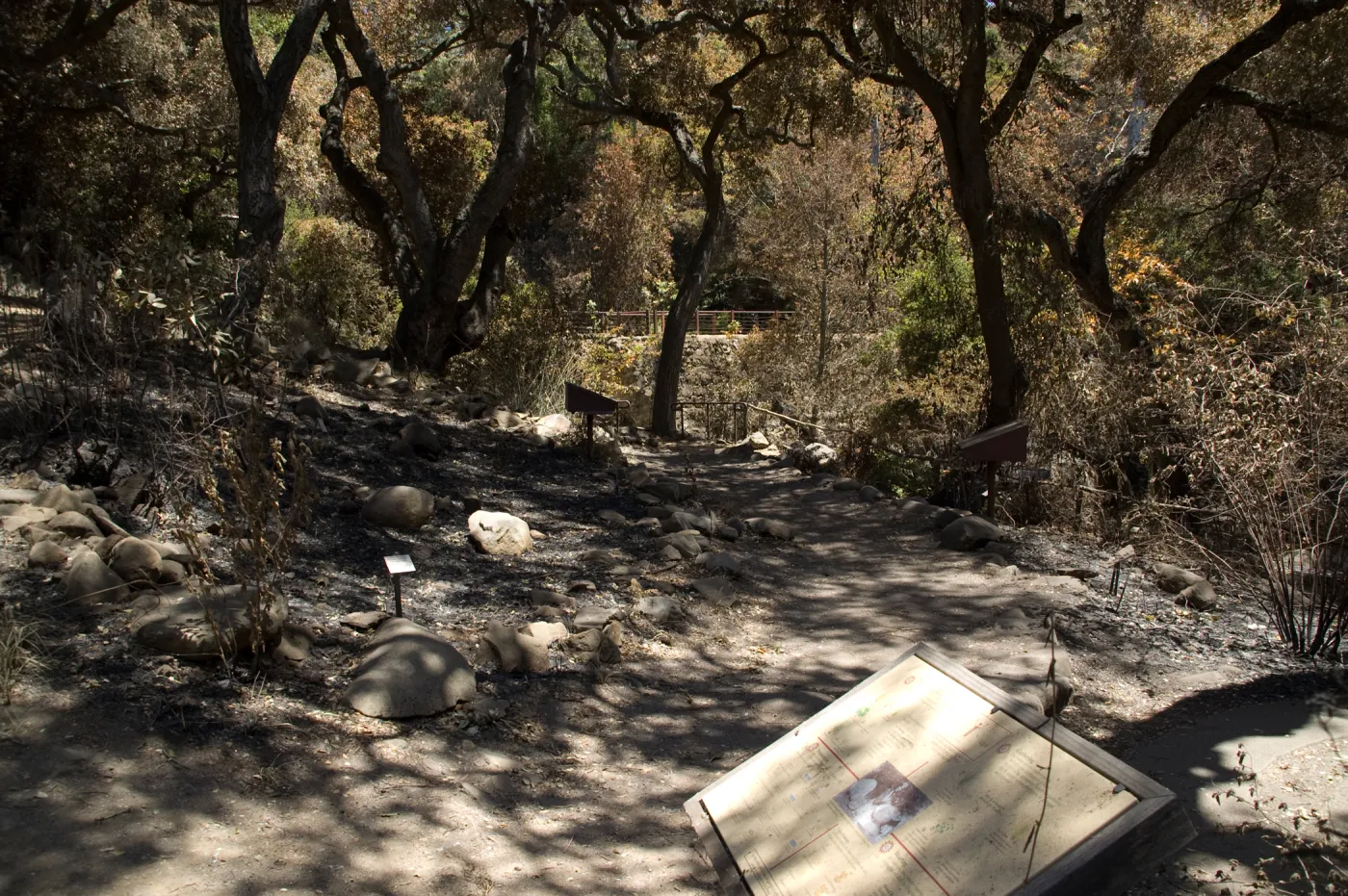 Fiber Arts Display after the Jesusita Fire
