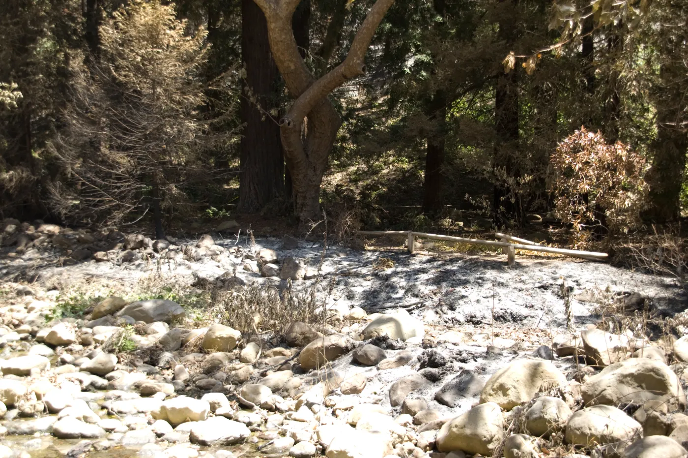 Mission Creek above Mission dam after the Jesusita Fire