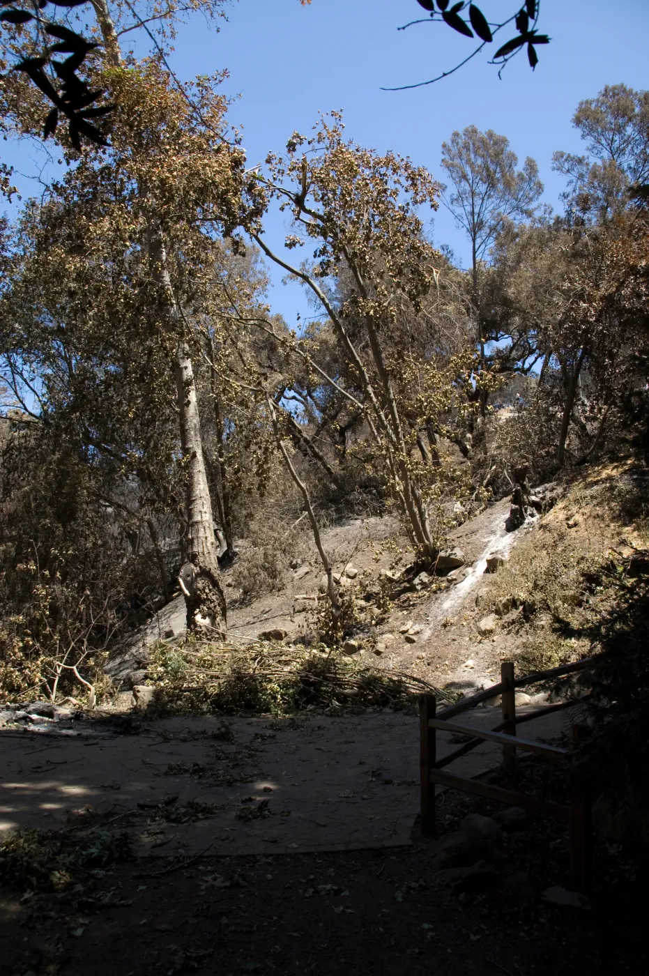 Pavered landing in Redwood Section after the Jesusita Fire