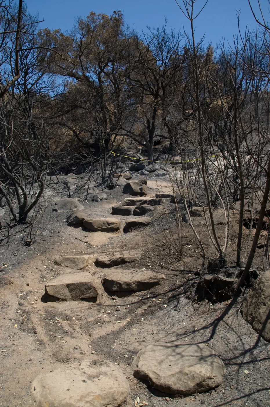 burned vegetation and stone steps on Woodland Trail after the Jesusita Fire