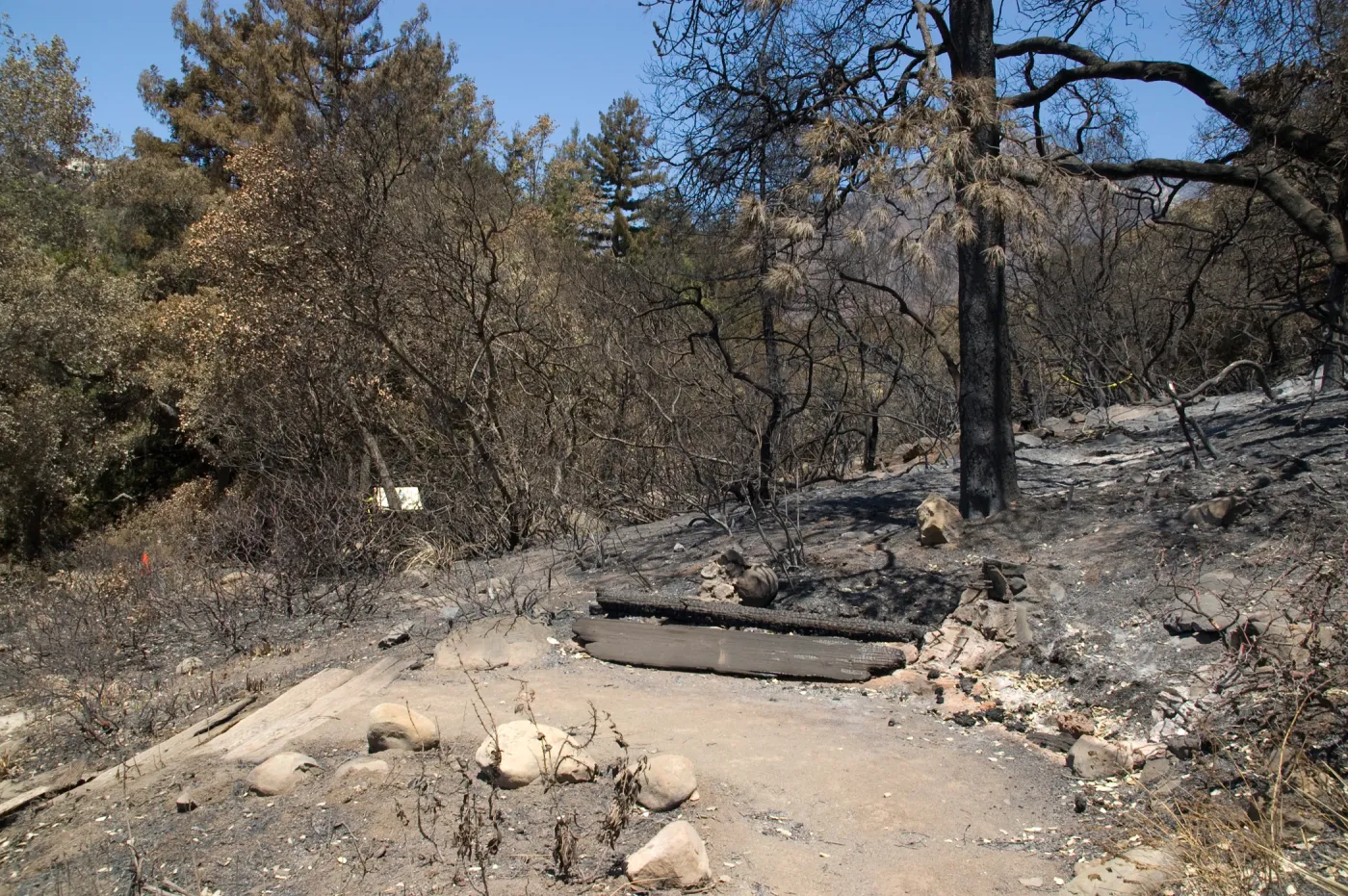 top of Meadow View section with Woodland Trail behind after the Jesusita Fire