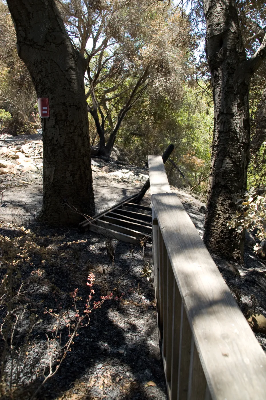 burned deck and railing along the canyon rim, adjacent to the Cottage, after the Jesusita Fire