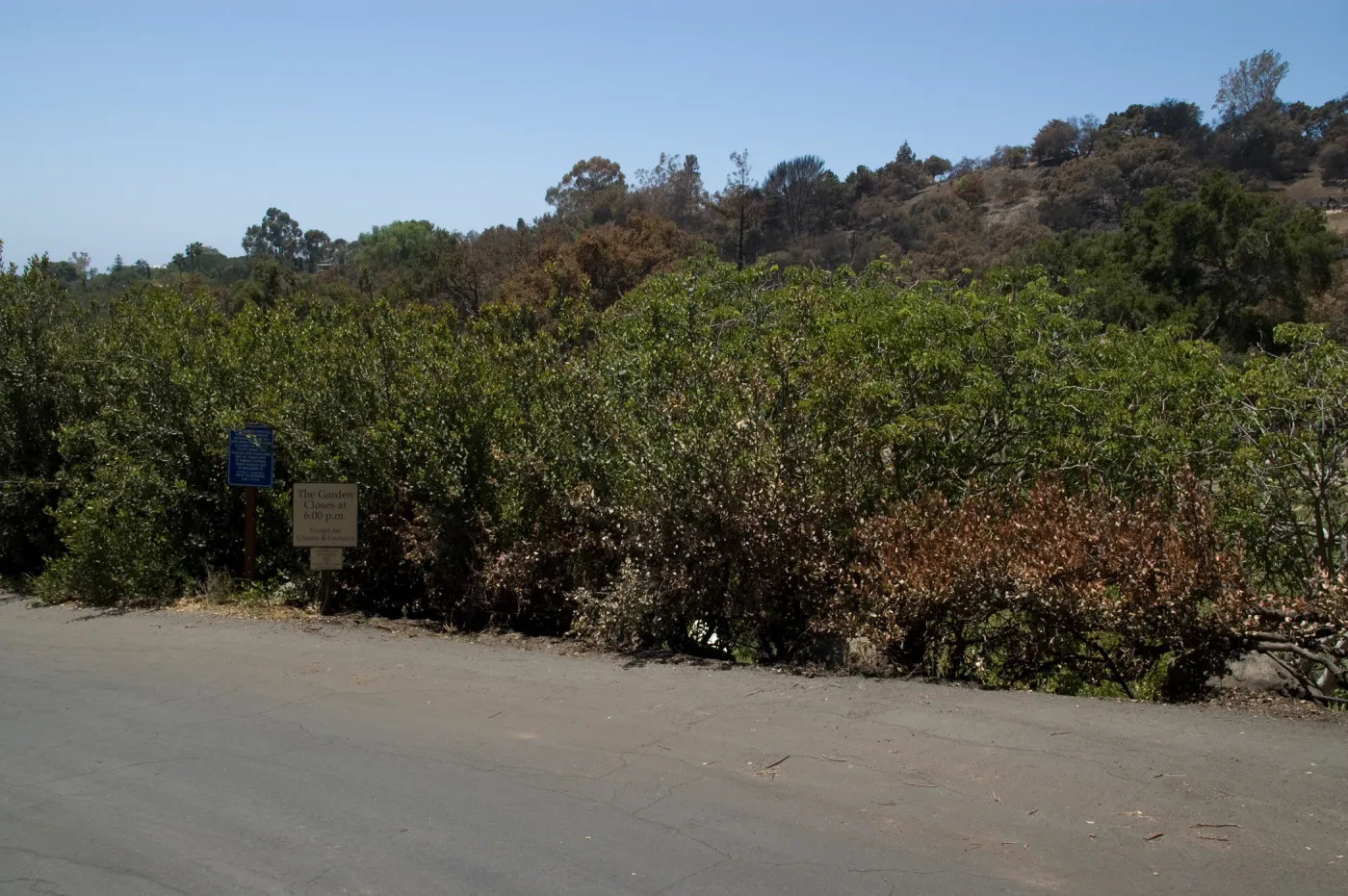 Top of the parking lot after the Jesusita Fire