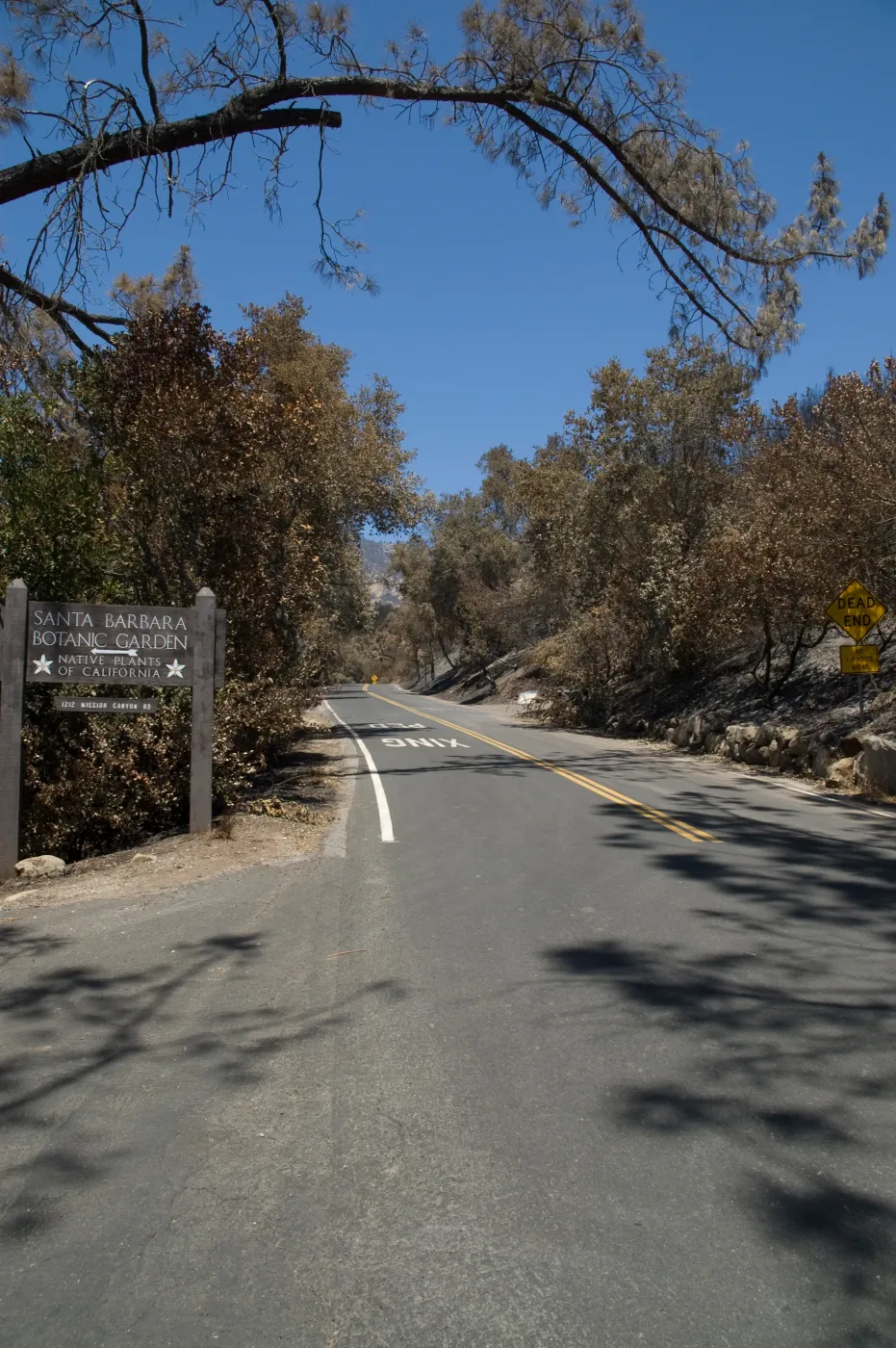 Garden entrance along Mission Canyon Rd after the Jesusita Fire