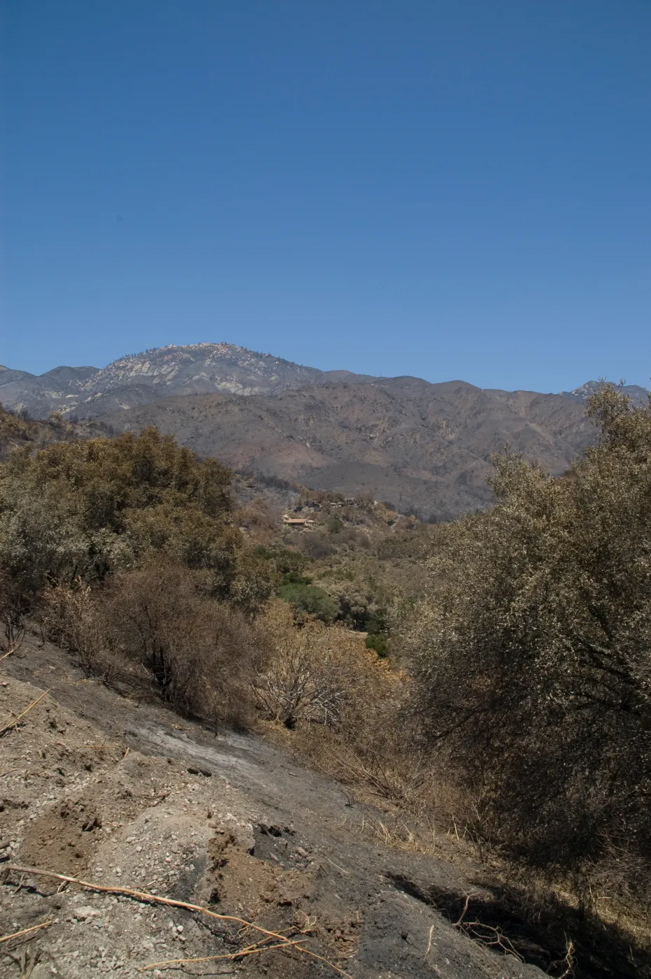 East Slope view to the Santa Ynez Mountains, after the Jesusita Fire