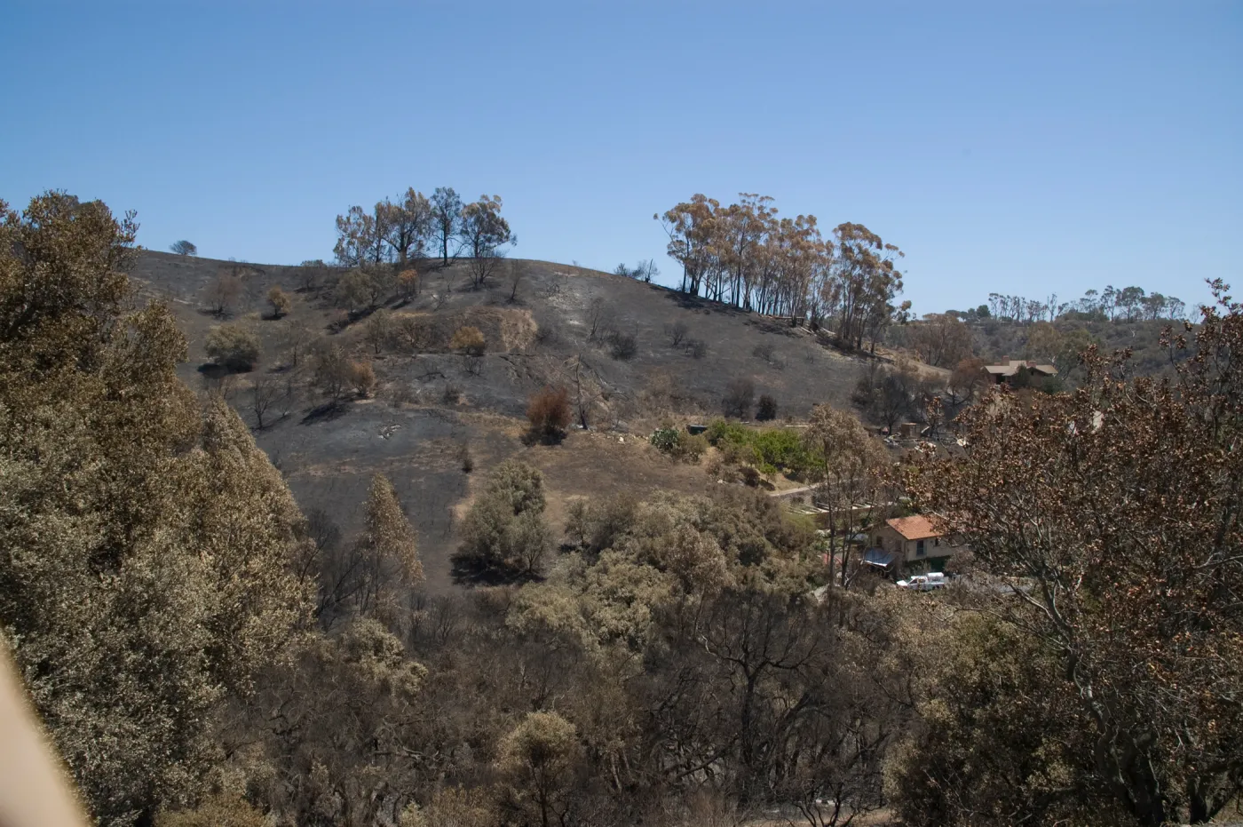 viewing East from the top of the East Slope ridge, after the Jesusita Fire