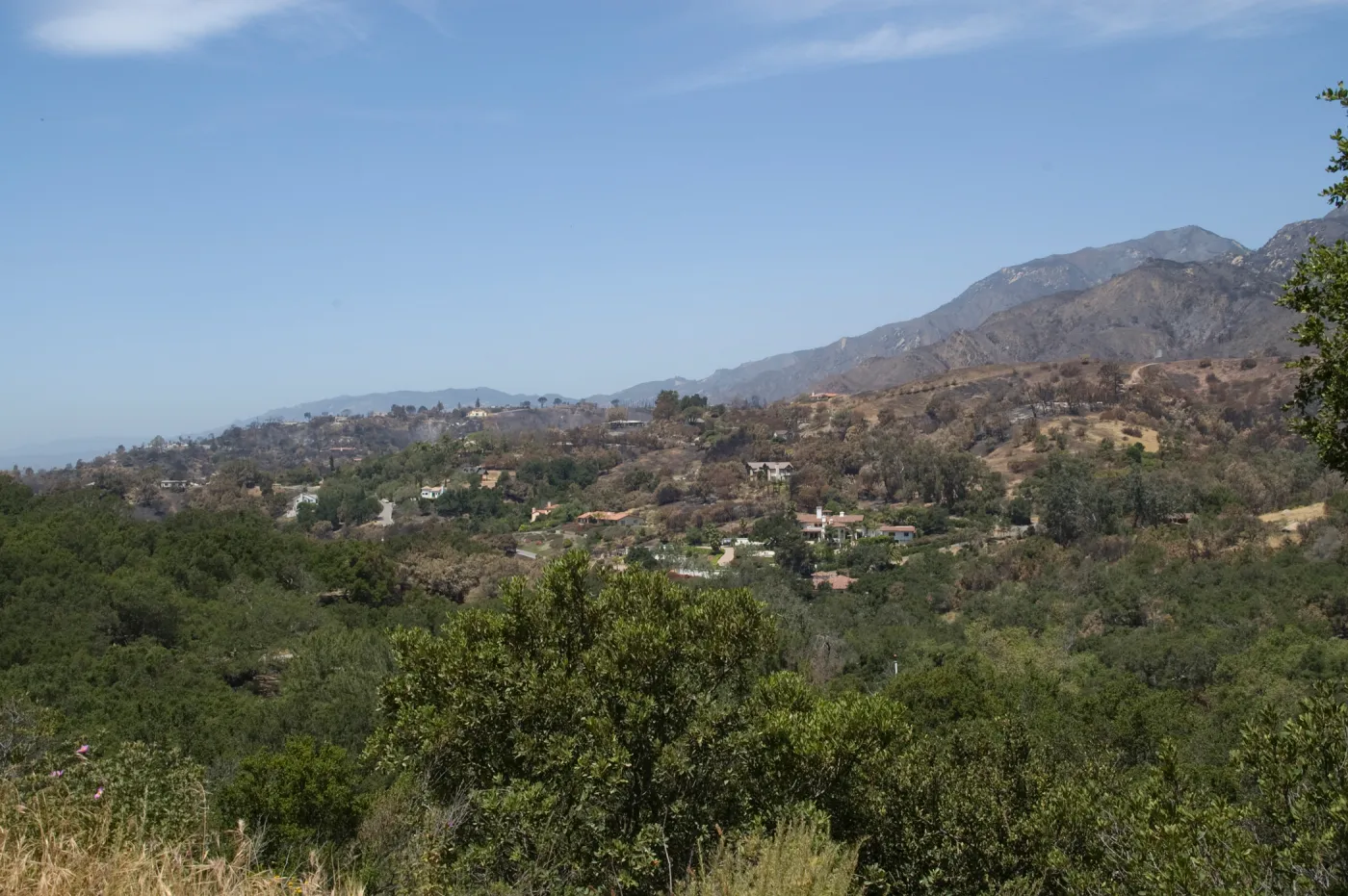 view from Las Canoas, near Skofield Park, view back to Mission Canyon, after the Jesusita Fire