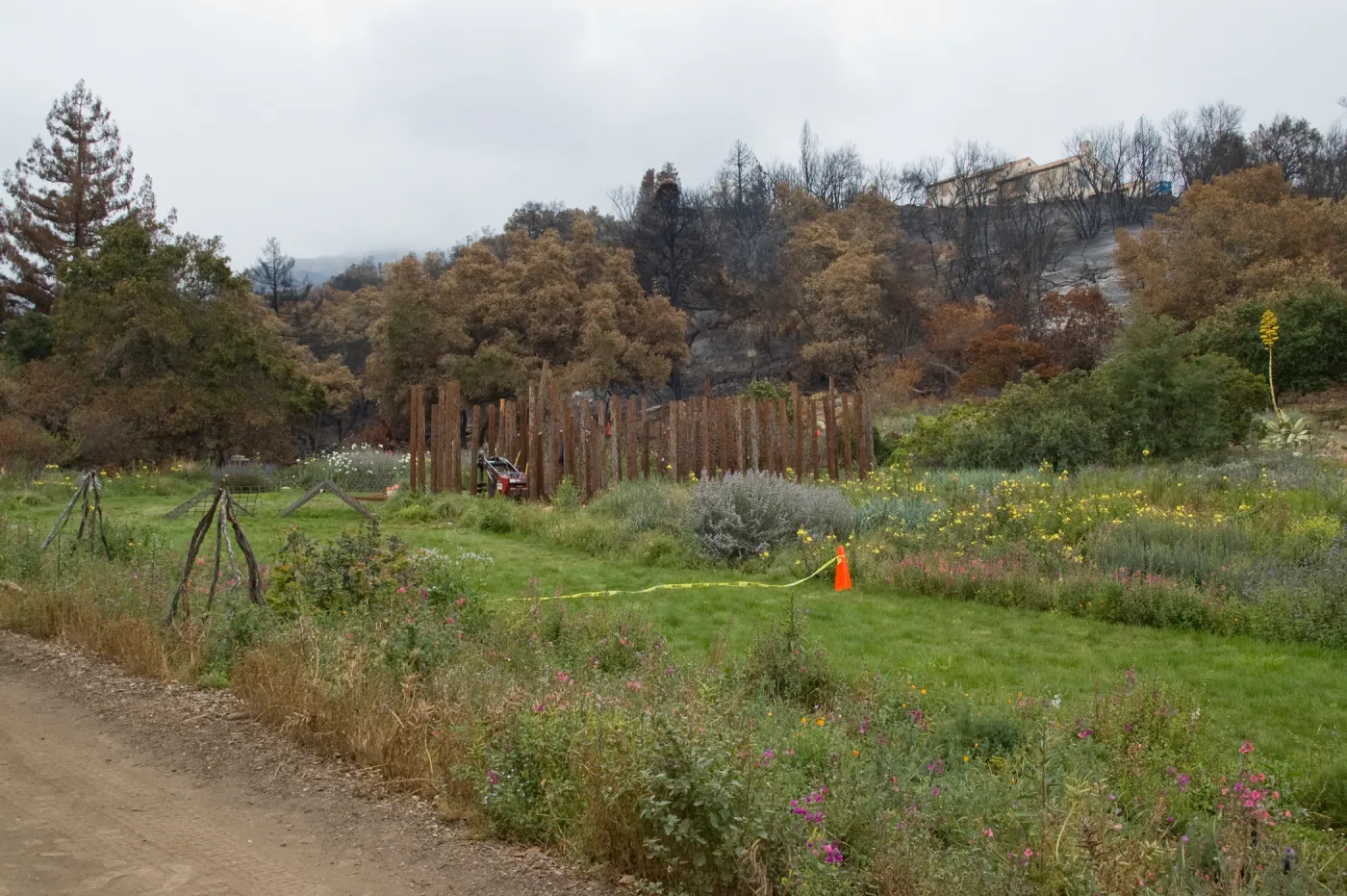view of Meadow with burned area behind, after the Jesusita Fire