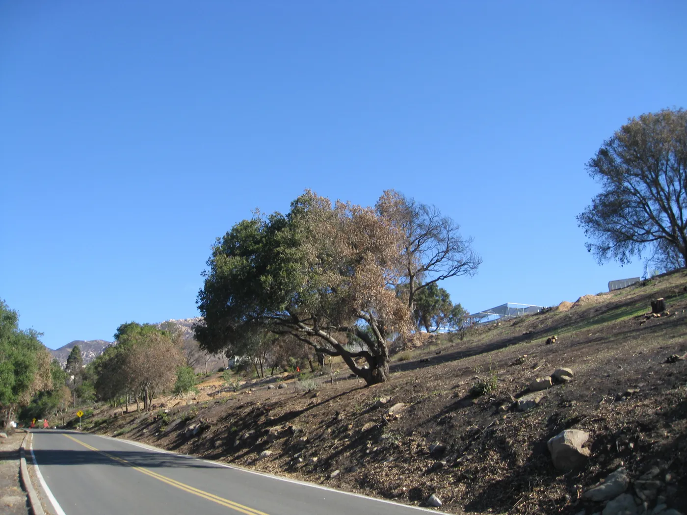 Clearing along Mission Canyon Rd after Jesusita Fire