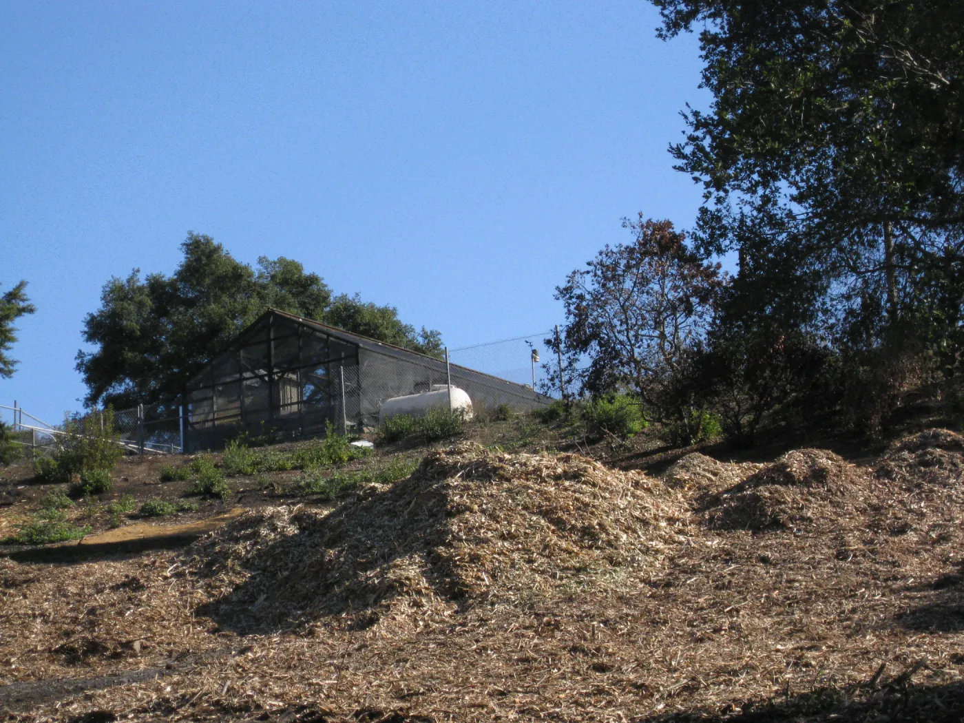 Last remaining shade house after Jesustia Fire
