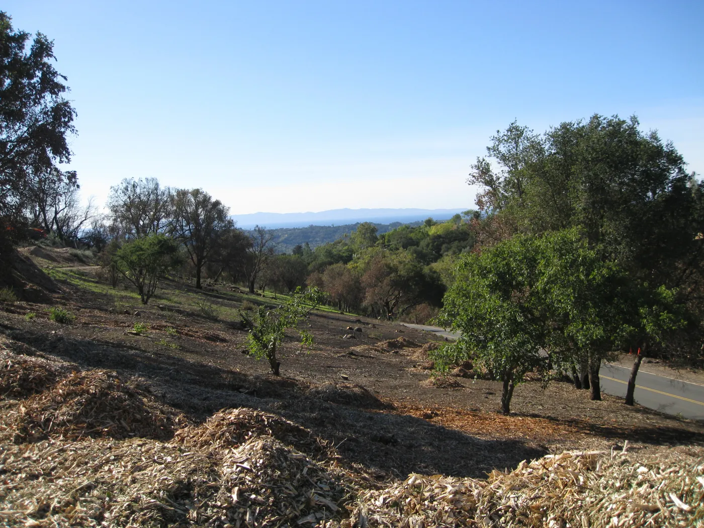Clearing along Mission Canyon Rd after Jesusita fire