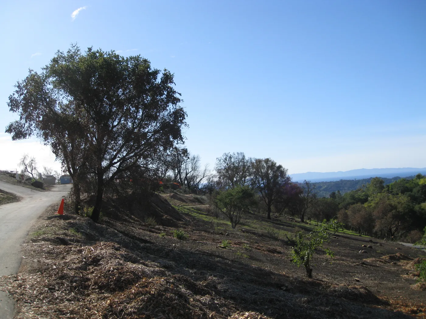 Clearing after Jesusita Fire
