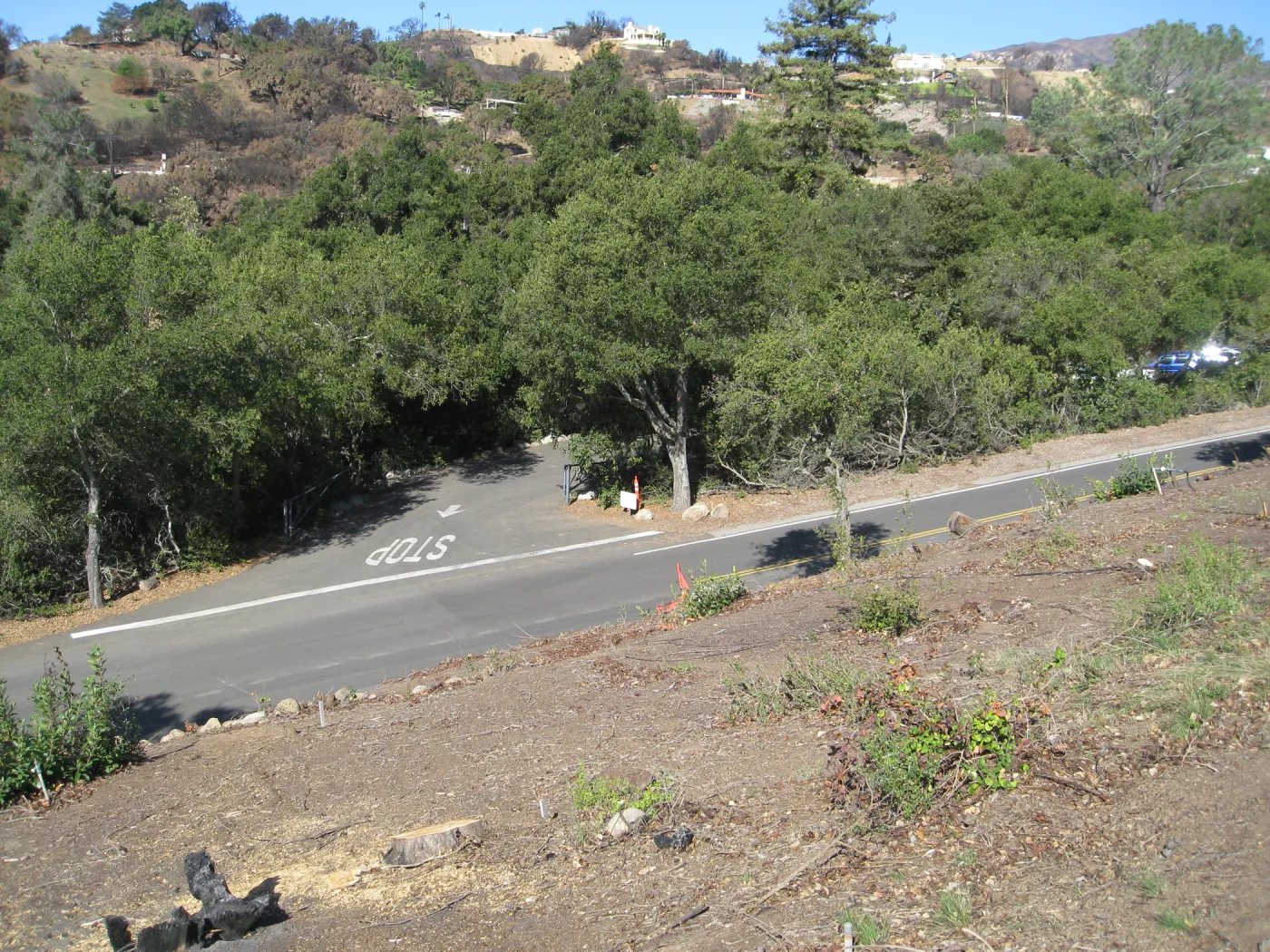 Clearing along Mission Canyon Rd and Cypress, Pinyon Juniper sections