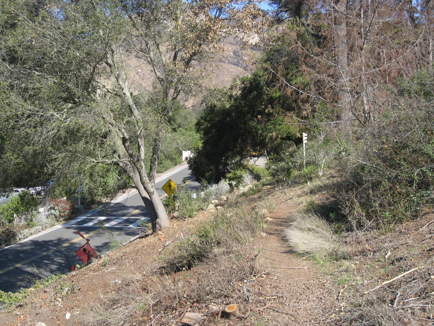 Clearing along Mission Canyon Rd after Jesusita Fire