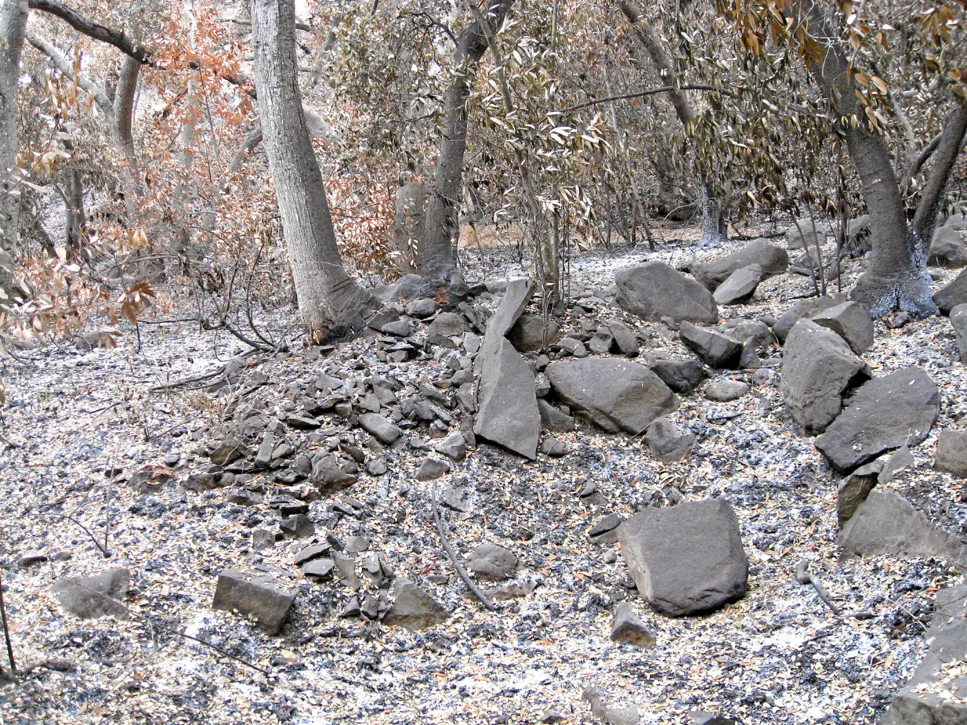 Dusting of ash in the Island Section. Quarry tailings
