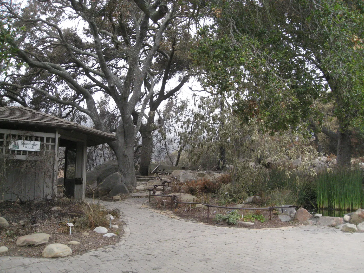 Santa Barbara Botanic Garden after the Jesusita Fire