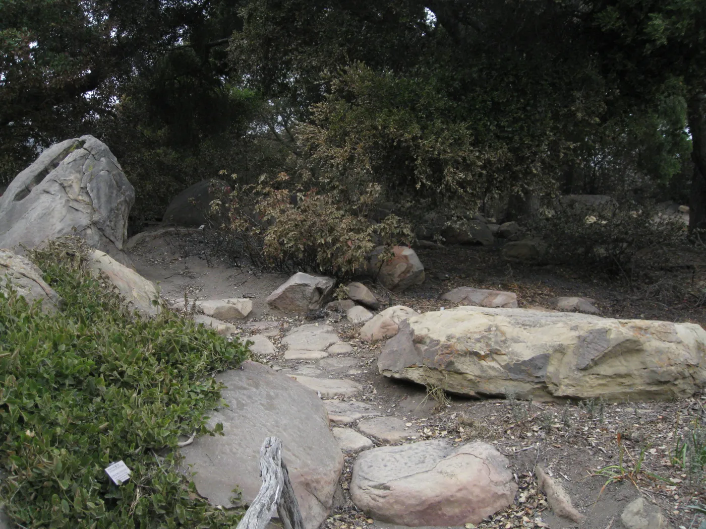Brook display (on left) after the Jesusita Fire