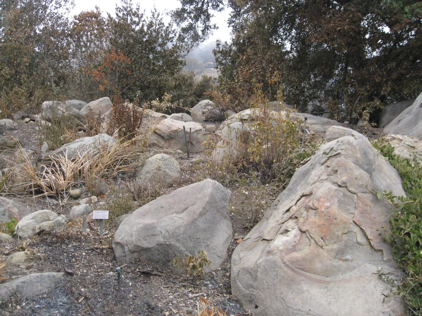 Brook display after the Jesusita Fire
