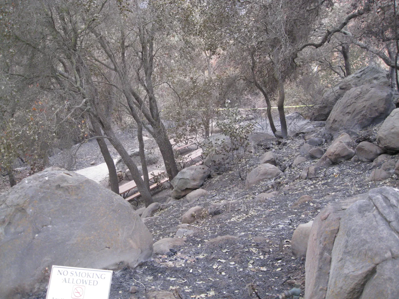 Cambell Trail and picnic area after the Jesusita Fire