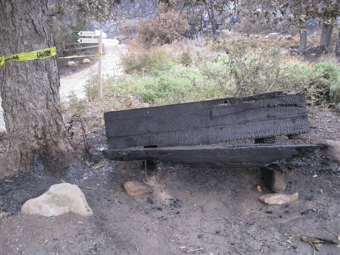 wood bench burned in the Jesusita Fire, Meadow View 